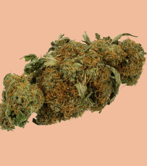5 Reasons Why You Shouldn't Use Cannabis