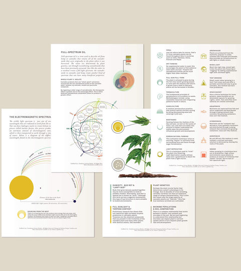 Pocket Infographics: A Few Things About Cannabis Quality