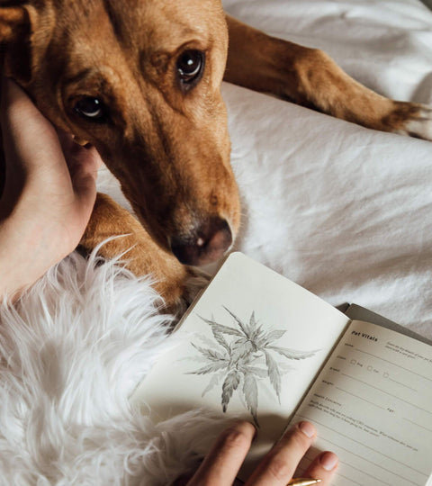 The Pet Jotter: A Wellness Journal for Your Animal Companions