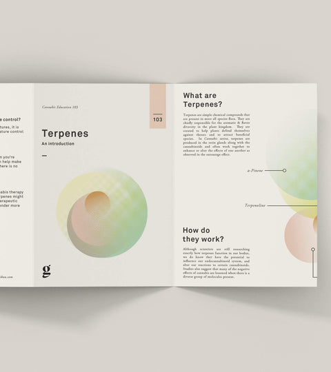 Using Customized Cannabis Pamphlets To Benefit Your Business