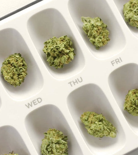 The 15 Best Cannabis Quotes Every Patient Should Read