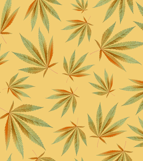 Delta-8-THC: What Are The Facts and What’s Just Hype?