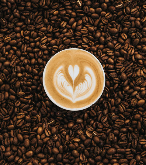 International Coffee Day: Sip, Savor, and Support Sustainable Coffee