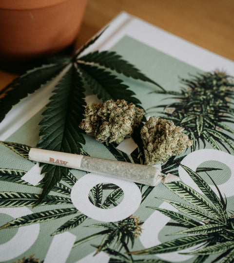 white cannabis joint and buds laying atop a floral printed magazin cover