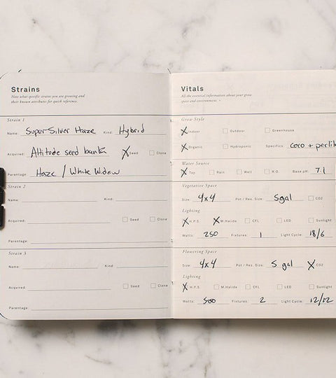 Why You Should Keep A Cannabis Grow Journal For Your Homegrown Weed