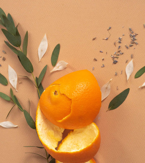 Terpene Flavor Guide: Where Cannabis Gets Its Taste