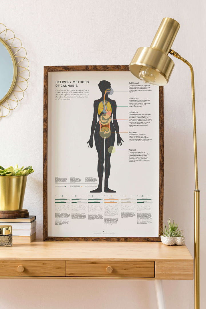 Art Prints & Infographics