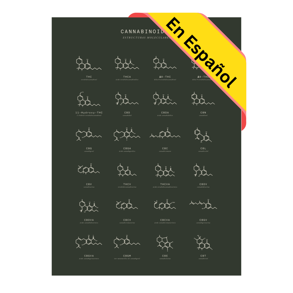 Gráfico de Estructuras Moleculares de Cannabinoides En Espanoñol - Decoración de pared - Educación sobre el cannabis - Goldleaf