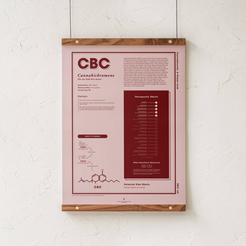 CBC: Cannabichromeno Una Mirada Más Cerca Impresión en Español - 18x24" Impresión con Rieles de Nogal - decoración de pared - Educación sobre el cannabis - Goldleaf