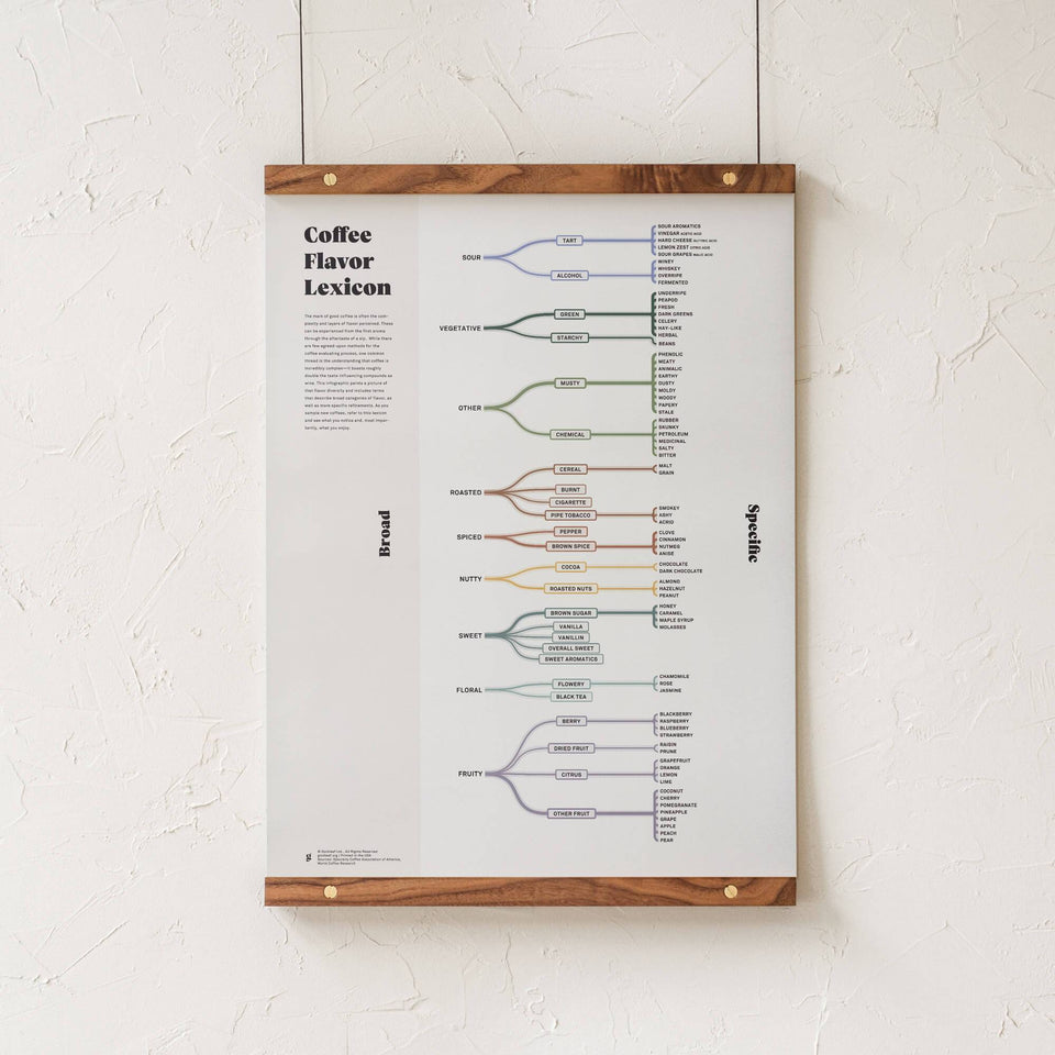 Goldleaf Coffee Flavor Lexicon Chart with Walnut Frame 18x24