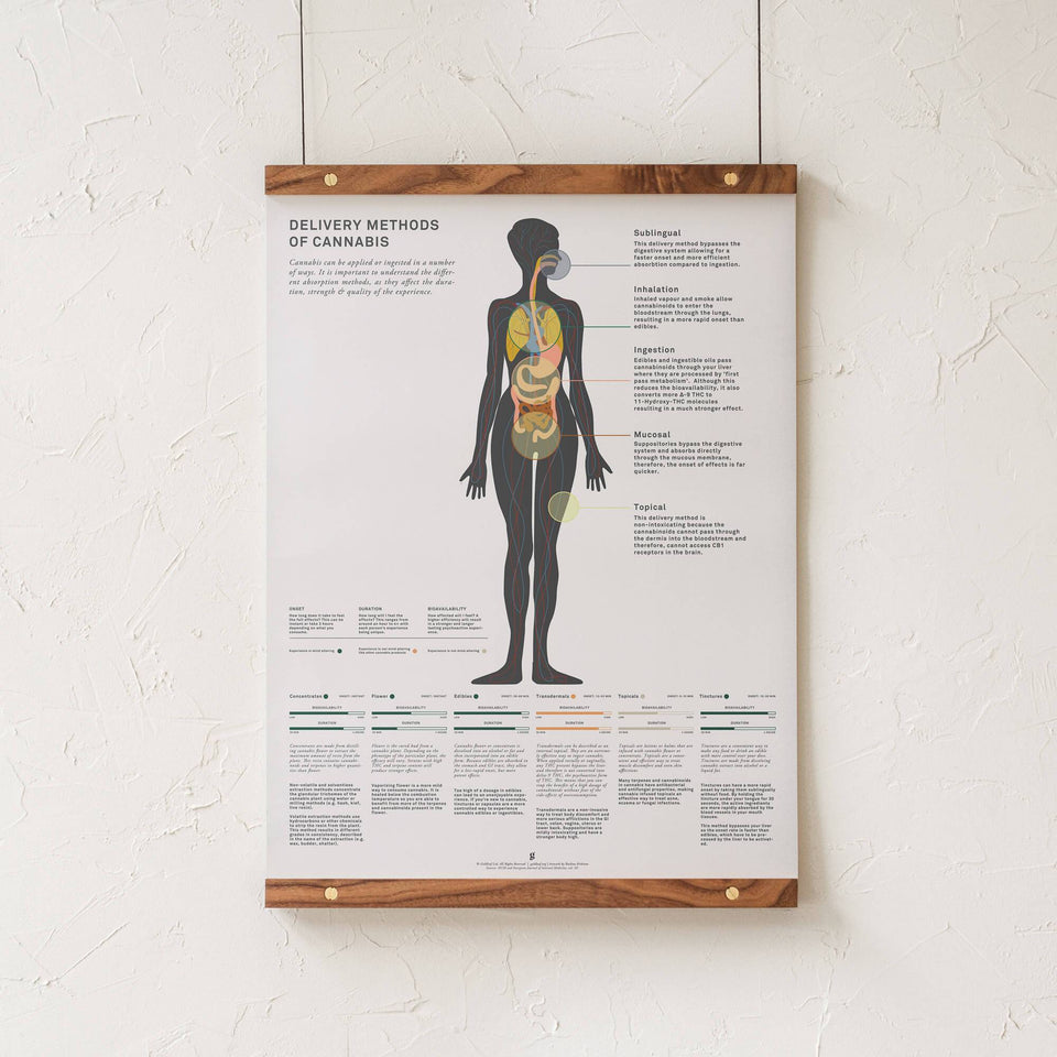 Delivery Methods of Cannabis Infographic Art Print - Goldleaf