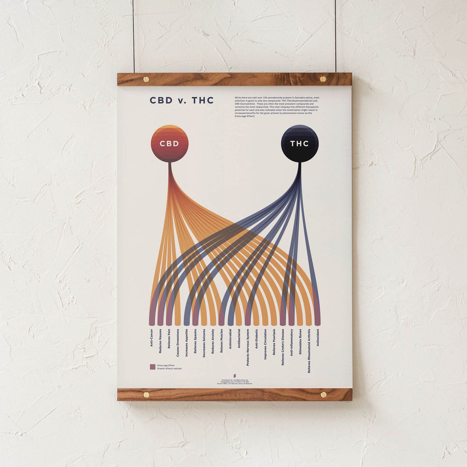 CBD vrs. THC Comparison Infographic Chart Print - Goldleaf