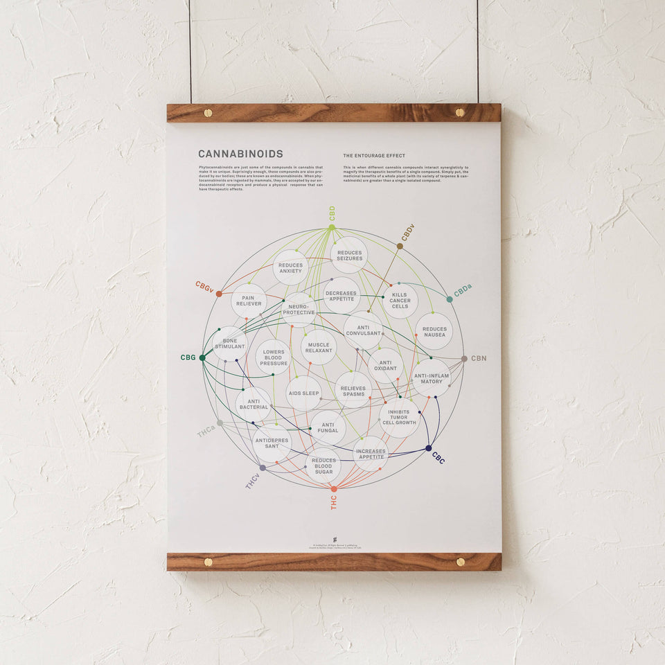 Cannabinoid Health Matrix Print - Cannabinoid Benefits Infographic - Cannabis Education - Marijuana Art- Goldleaf