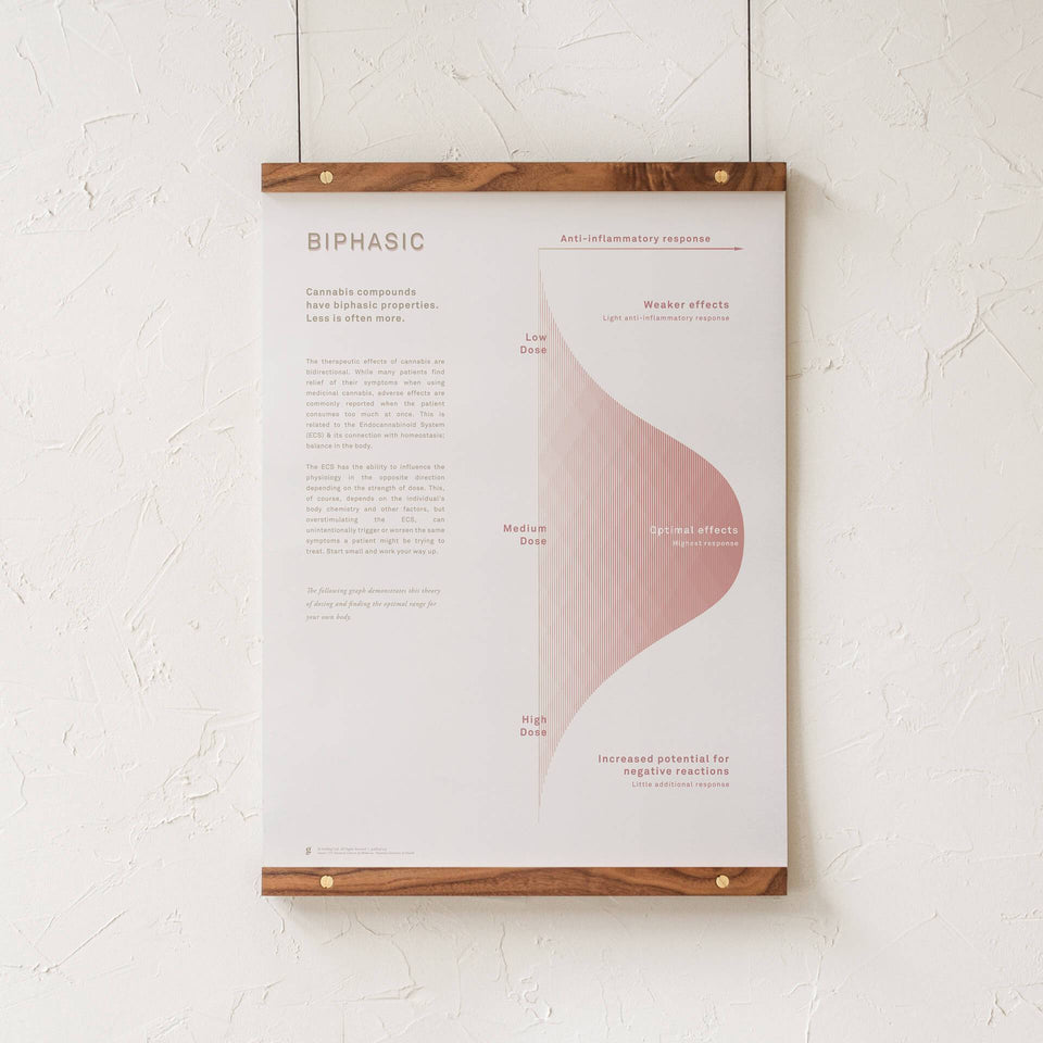 Biphasic Dosing Infographic Print - Cannabis Dosing Properties - Cannabis Infographic - Marijuana Education - Goldleaf