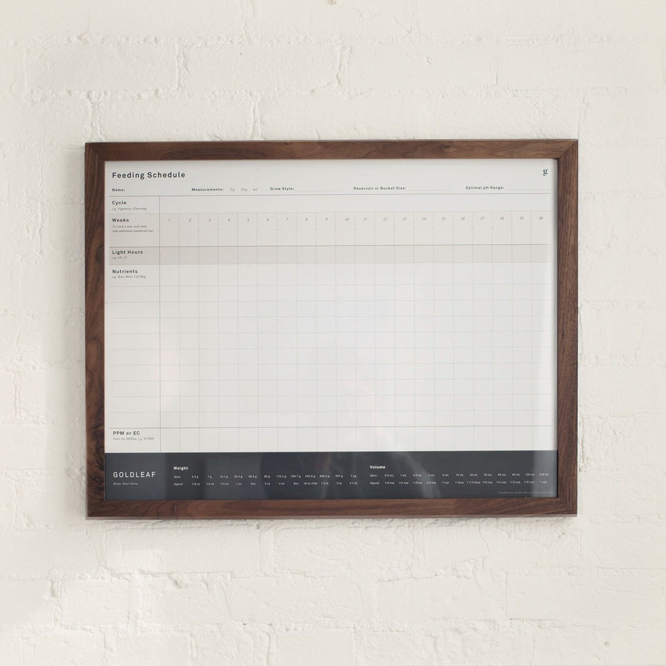 Blank Feeding Schedule Wall Print - Fill In Your Own Nutrient Chart for Growing Marijuana - 18" x 24" - Goldleaf