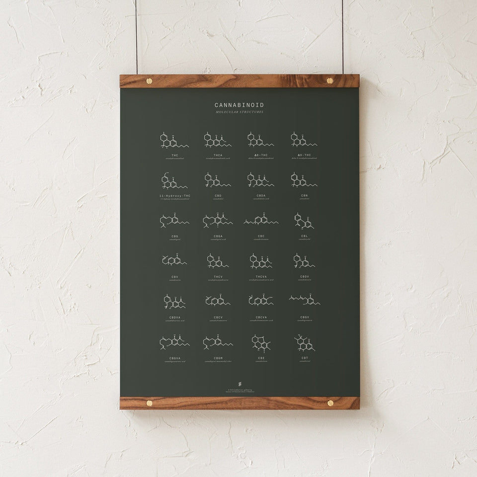 Cannabinoid Molecular Structures Print - Cannabinoid Molecule Chart - Cannabis Infographic - Marijuana Art - Goldleaf