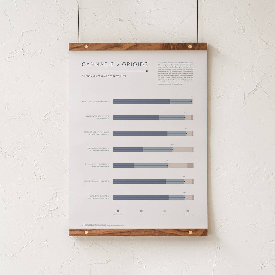 Cannabis v Opioid Infographic Print - Pain Study Results Visualized - Medical Cannabis Information - Goldleaf