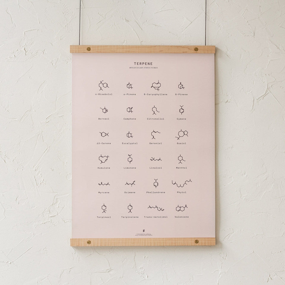 Terpene Molecular Structures Print - Terpene Molecule Chart - Cannabis Infographic - Marijuana Art - Goldleaf