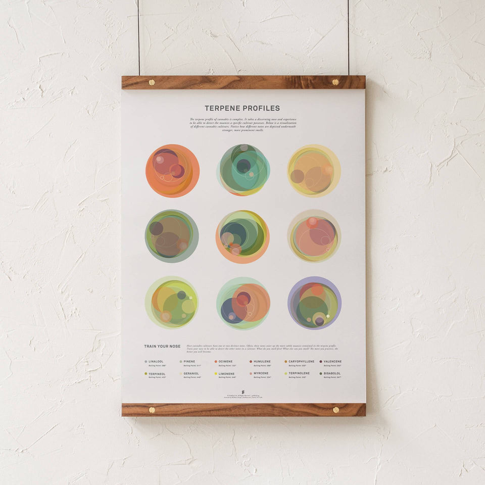 Terpene Profile Illustration Print - Terpene Information Visualization - Cannabis Education - Marijuana Art - Goldleaf