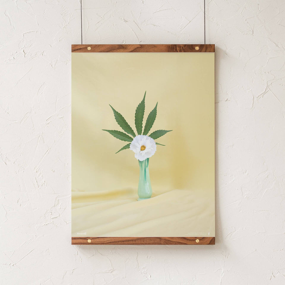 Yellow Ikebana Print - Cannabis Botanical Floral Arrangement Poster - Marijuana Art - Broccoli Magazine - Goldleaf