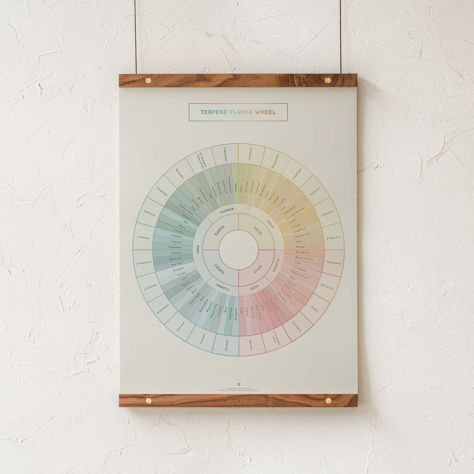 Terpene Flavor Wheel with walnut hanging rails