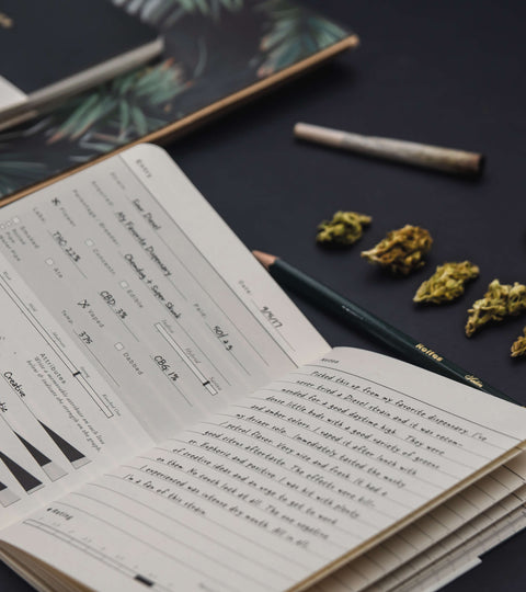 Cannabis journaling as a wellness practice, learn more by Goldleaf
