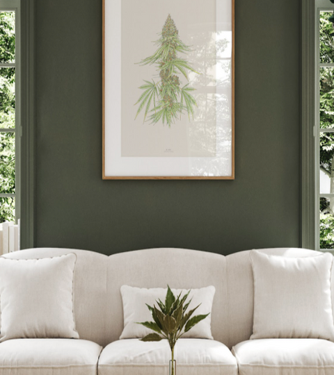 The Art of Cannabis-Inspired Wall Art and Decor