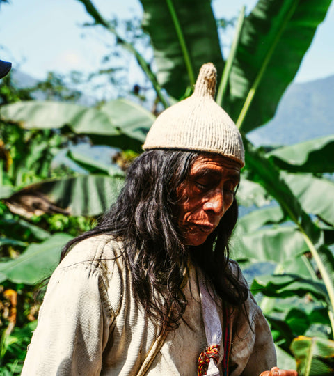 Cannabis History: Ancient Indigenous Traditions and Modern Science