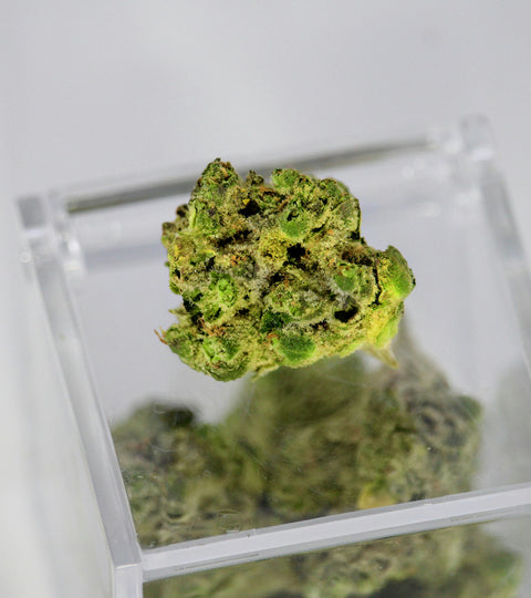 A nug of cannabis lying atop a clear cube container full of cannabis nugs against a white background