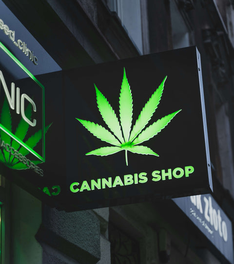 In Which States Is Weed Legal?