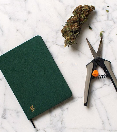 Grow Jotter: A pocket journal for cannabis growers