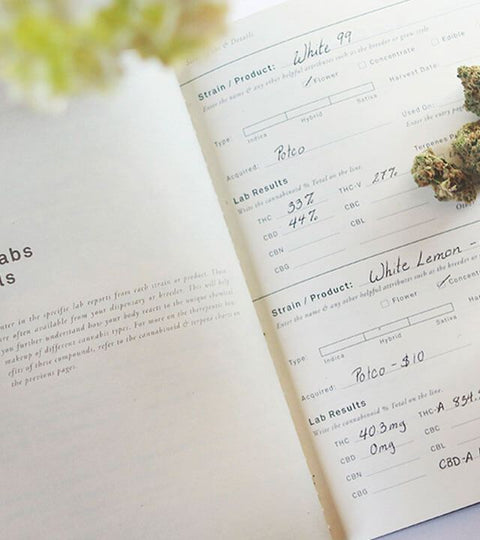 The Stoner Mom Journal Review