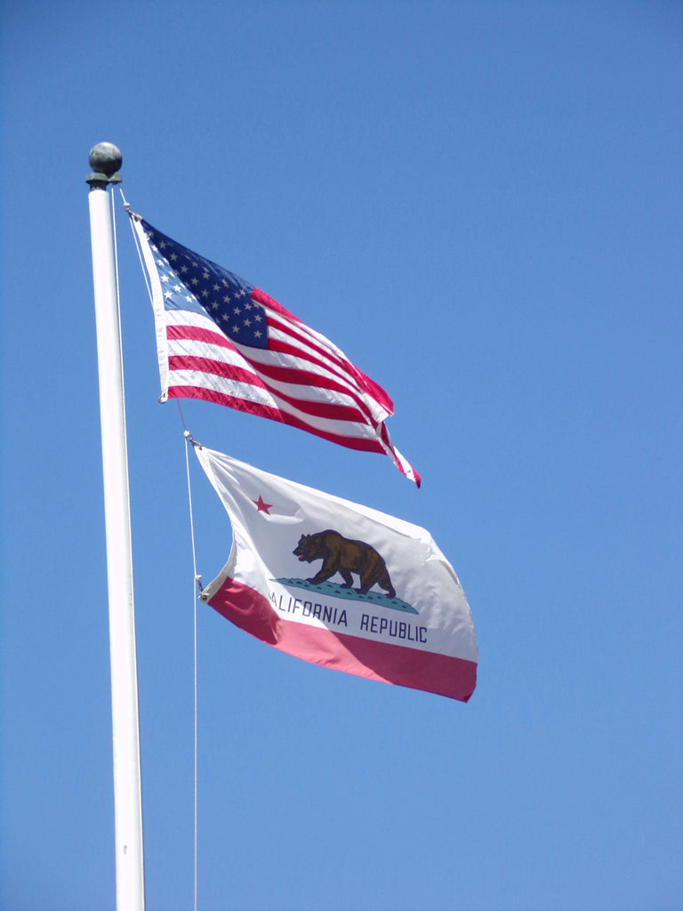 California Bans Any Hemp Products with THC: New Law