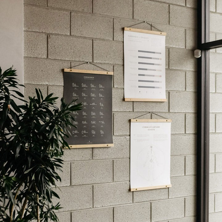 A gallery wall layout featuring three framed Goldleaf cannabis prints and educational posters, showcasing styled botanical infographics as high-end interior wall decor.