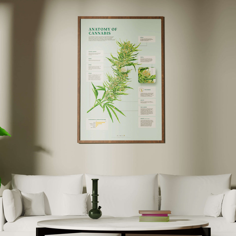 Goldleaf Best Sellers collection featuring top-rated cannabis patient journals, grow logbooks, and botanical infographics for the science-forward enthusiast.