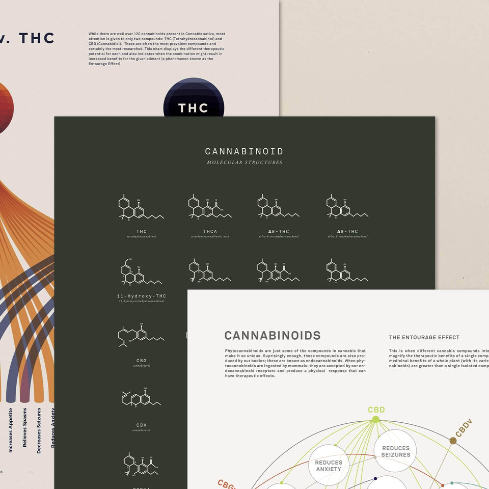 Impresiones Educativas de Infografías sobre Cannabis y CBD