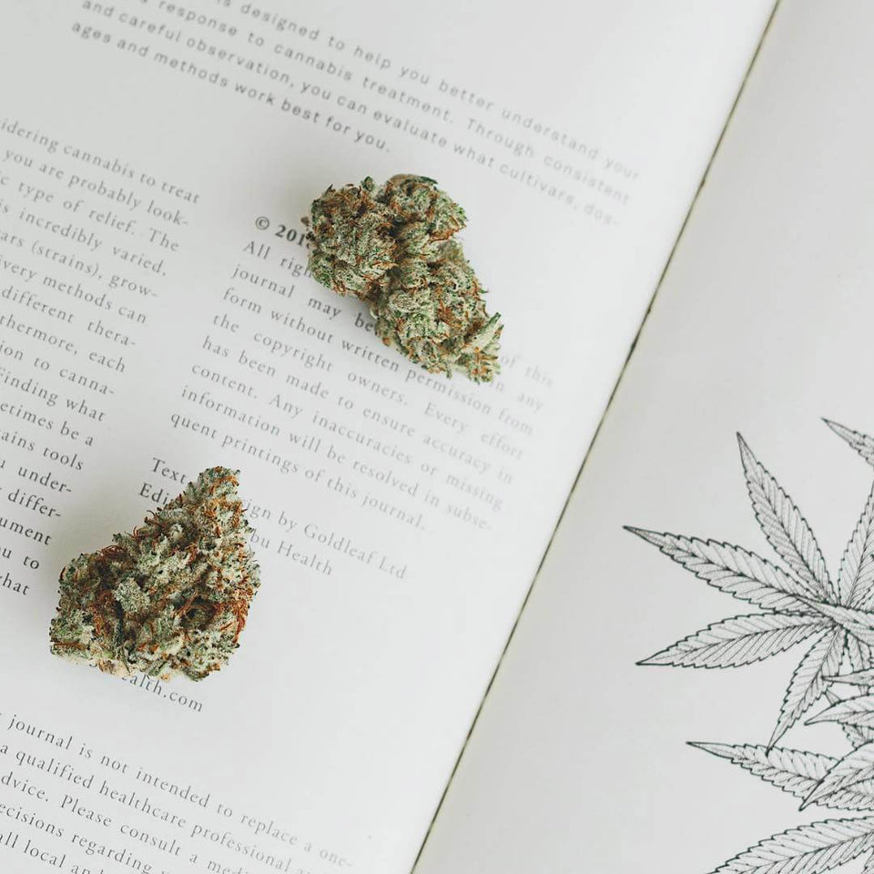 Goldleaf Cannabis Collection: Expert-level Cannabis Journals, Infographics and Printed Decor