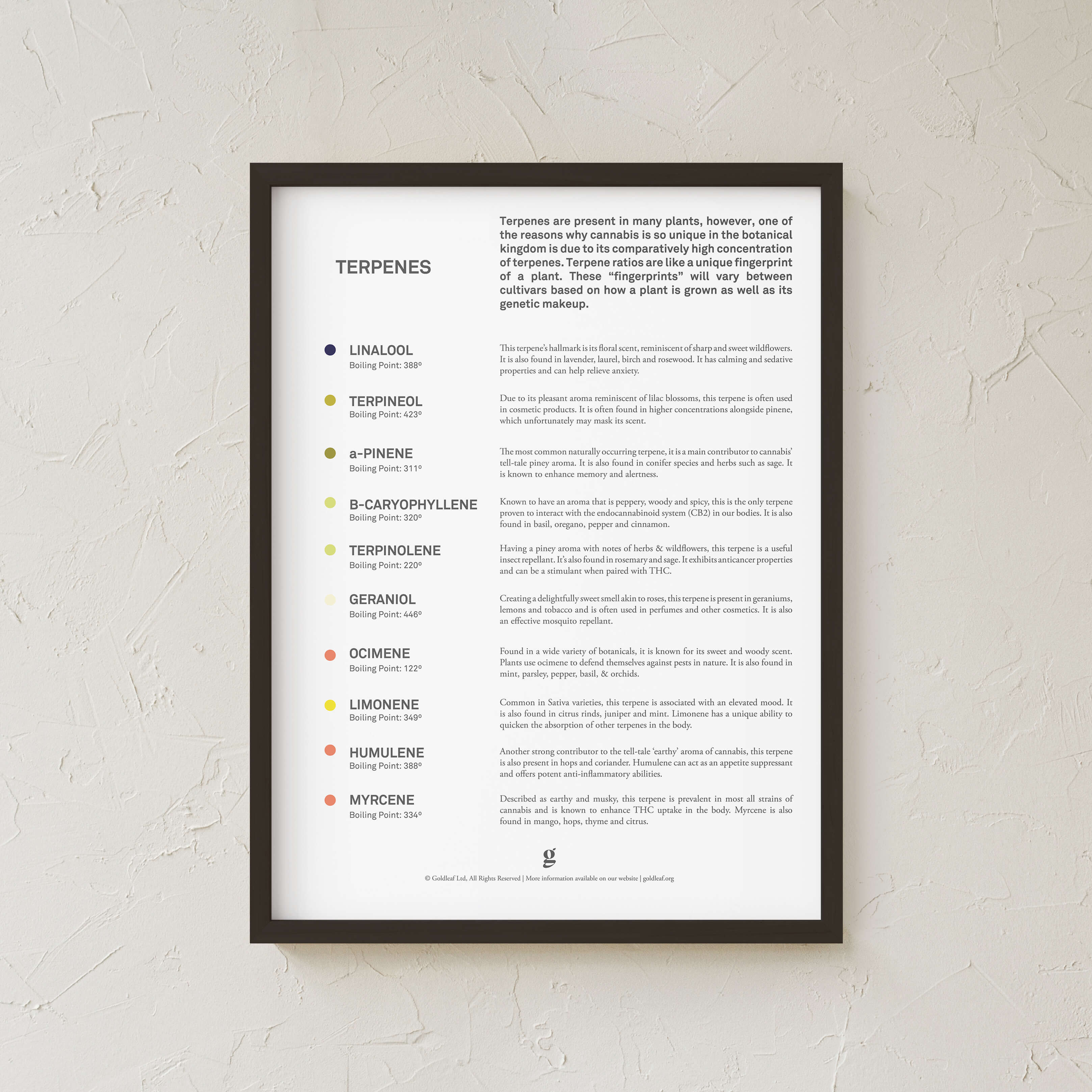 Cannabis Terpenes List Poster
