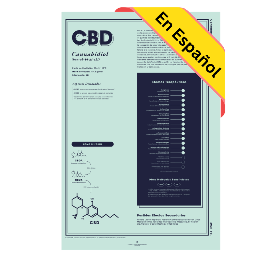 CBD: Cannabidiol Una Mirada más Cerca Impresión en Español - Decoración de pared - Educación sobre el cannabis - Goldleaf