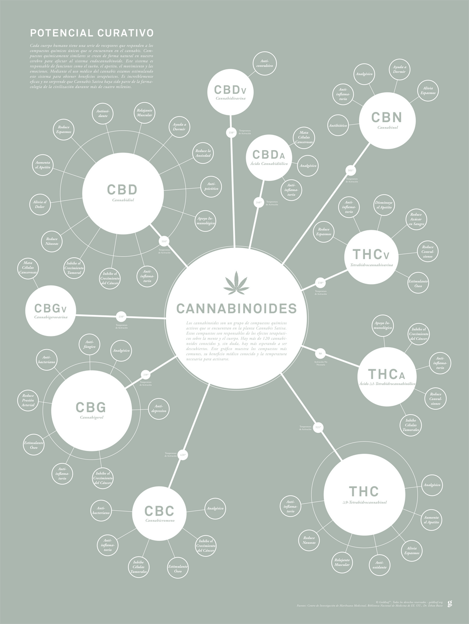 Tabla de Cannabinoides Impresión