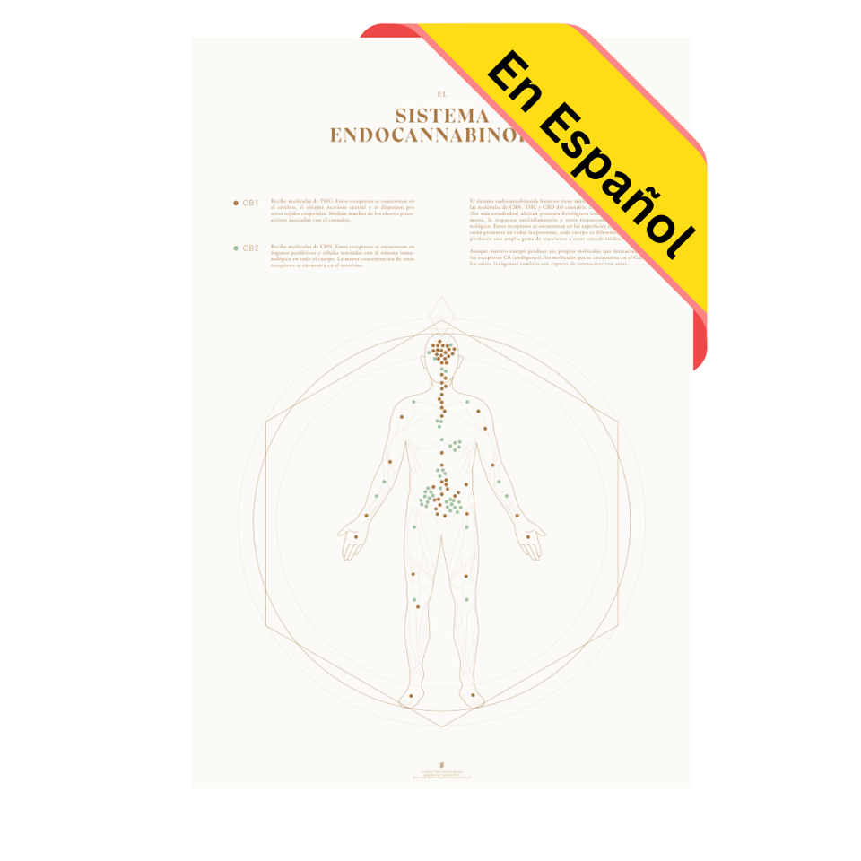 Mapa de la Sistema Endocannabinoide Impresión | Decoración de Pared | Educación sobre el cannabis | Goldleaf