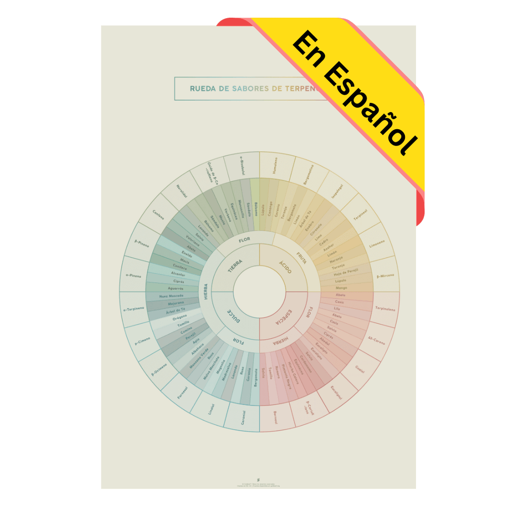 Diagrama de la Rueda de Sabores y Terpenos Impresión en Español