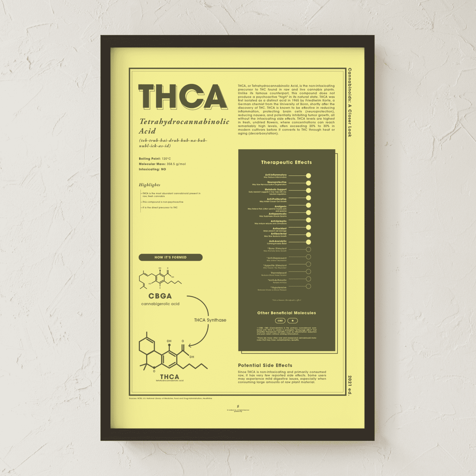 THCA: Tetrahydrocannabinolic acid A Closer Look Print | Goldleaf