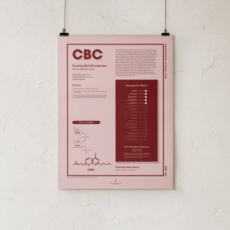 CBC: Cannabichromeno Una Mirada más Cerca Impresión en Español - 18x24" Solo Impresión - decoración de pared - Educación sobre el cannabis - Goldleaf