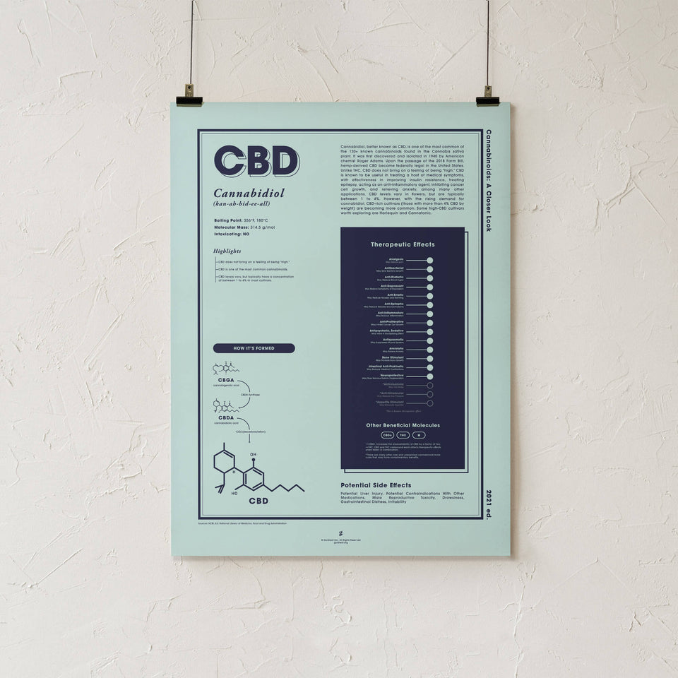 Goldleaf CBD Cannabidiol Infographic Print, 18x24