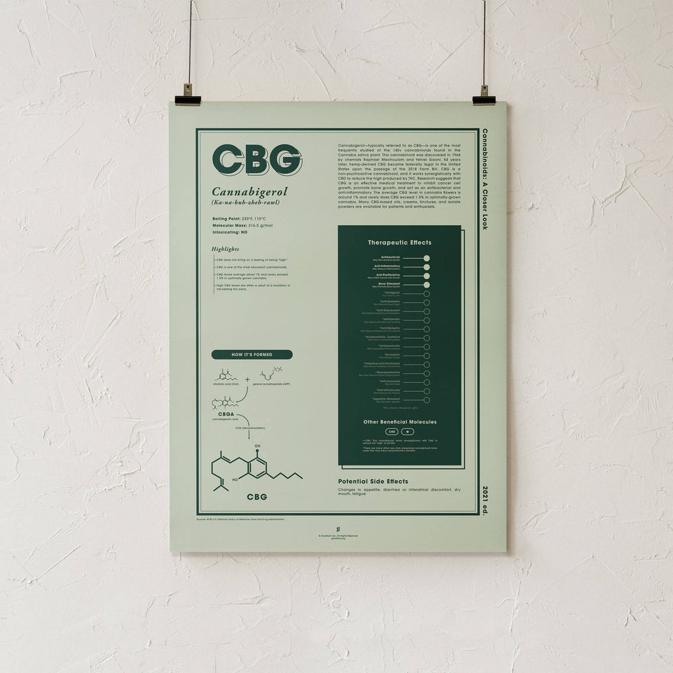CBG: Cannabigerol - A Closer Look Art Print - 18x24" - Goldleaf