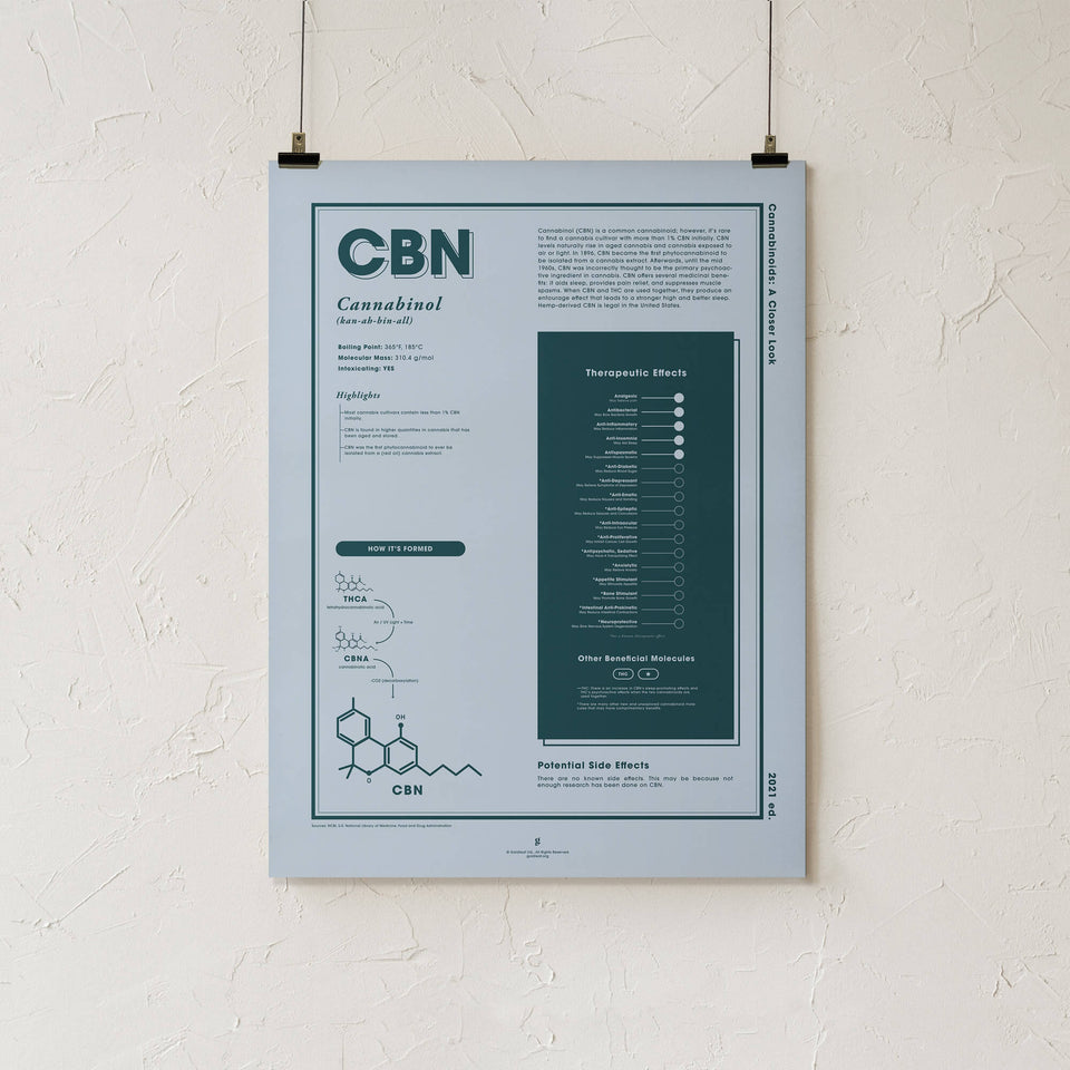 CBN: Cannabinol A Closer Look Print - 18x24" - Goldleaf