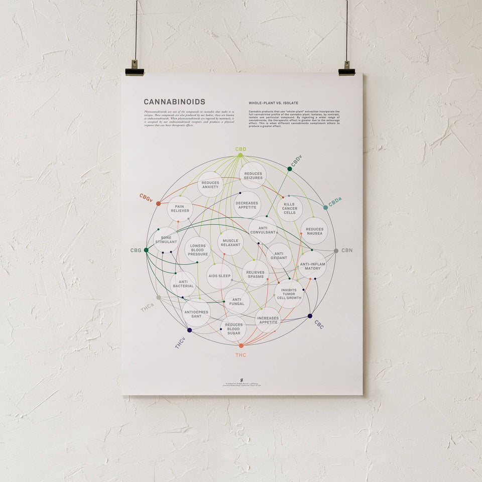Cannabinoids Bundle by Goldleaf - Our Best Infographic Prints