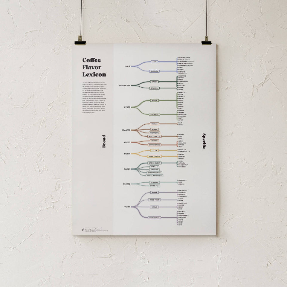 Goldleaf Coffee Flavor Lexicon Chart Print Only 18x24