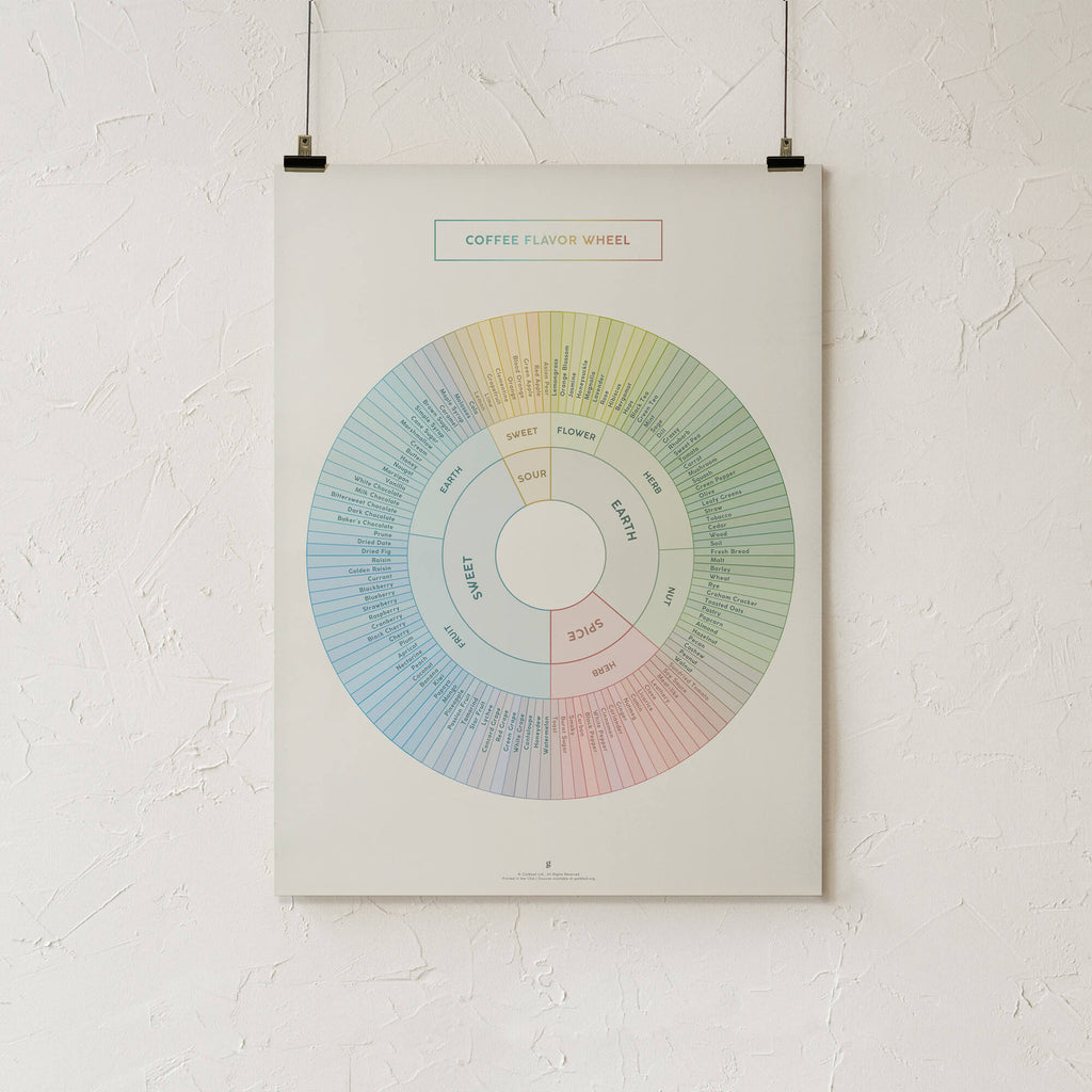 Coffee Flavor Wheel Infographic Print - Unframed